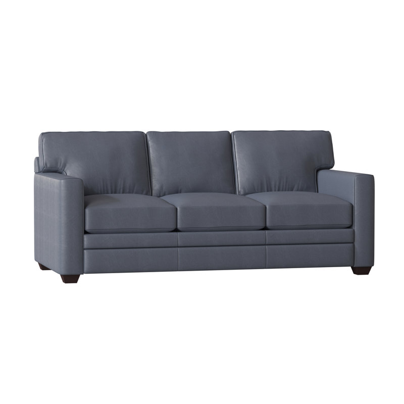 Wayfair Custom Upholstery™ Carleton Leather Sofa Bed & Reviews Wayfair